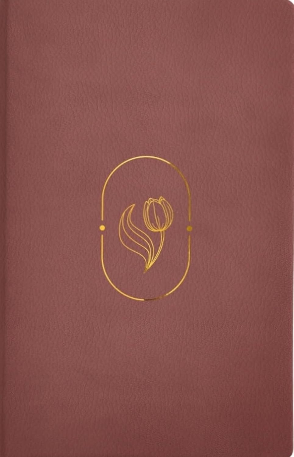 Biblia RVR1960 Virtuosa con 92 devocionales Piel especial Rosa LGig 13 pts