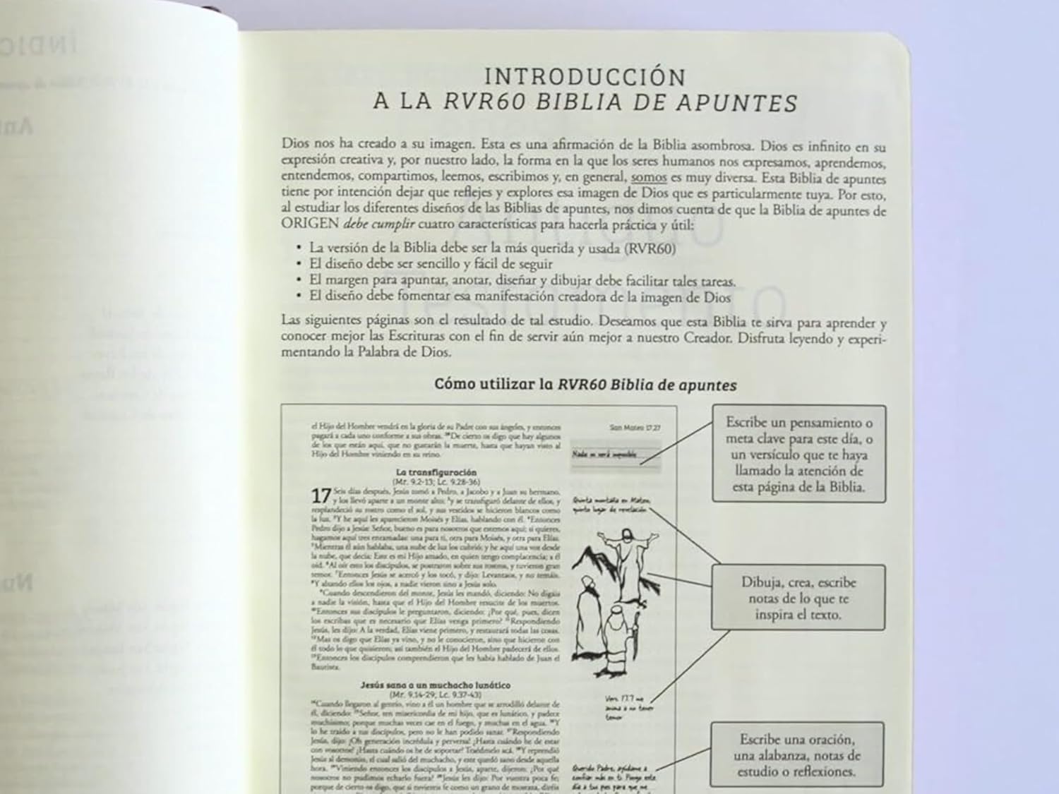 Biblia RVR1960 Apuntes vino cto pintado tapa dura manual 11pt - Image 2