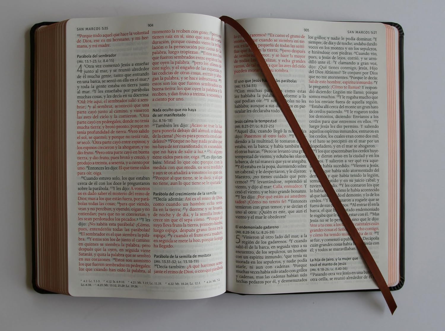 Biblia RVR1960 Leon de Juda ed esp bronce im piel manual 10.5pt - Image 8