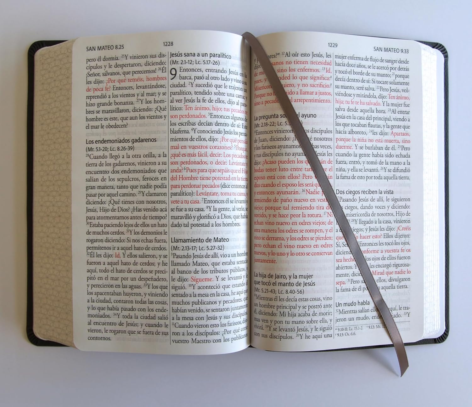 Biblia RVR1960 letra gigante gris cto pintado im piel manual 14pt - Image 6