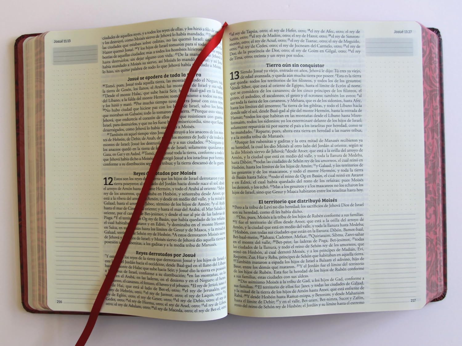 Biblia RVR1960 Apuntes vino cto pintado tapa dura manual 11pt - Image 4