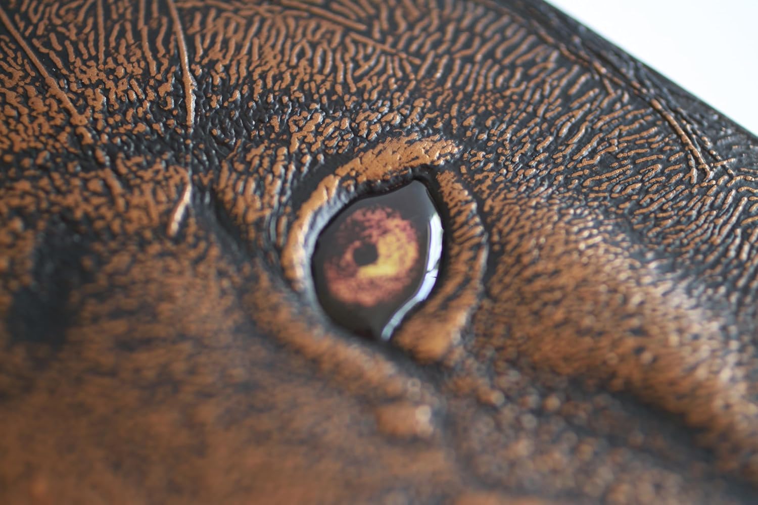 Biblia RVR1960 Leon de Juda ed esp bronce im piel manual 10.5pt - Image 5