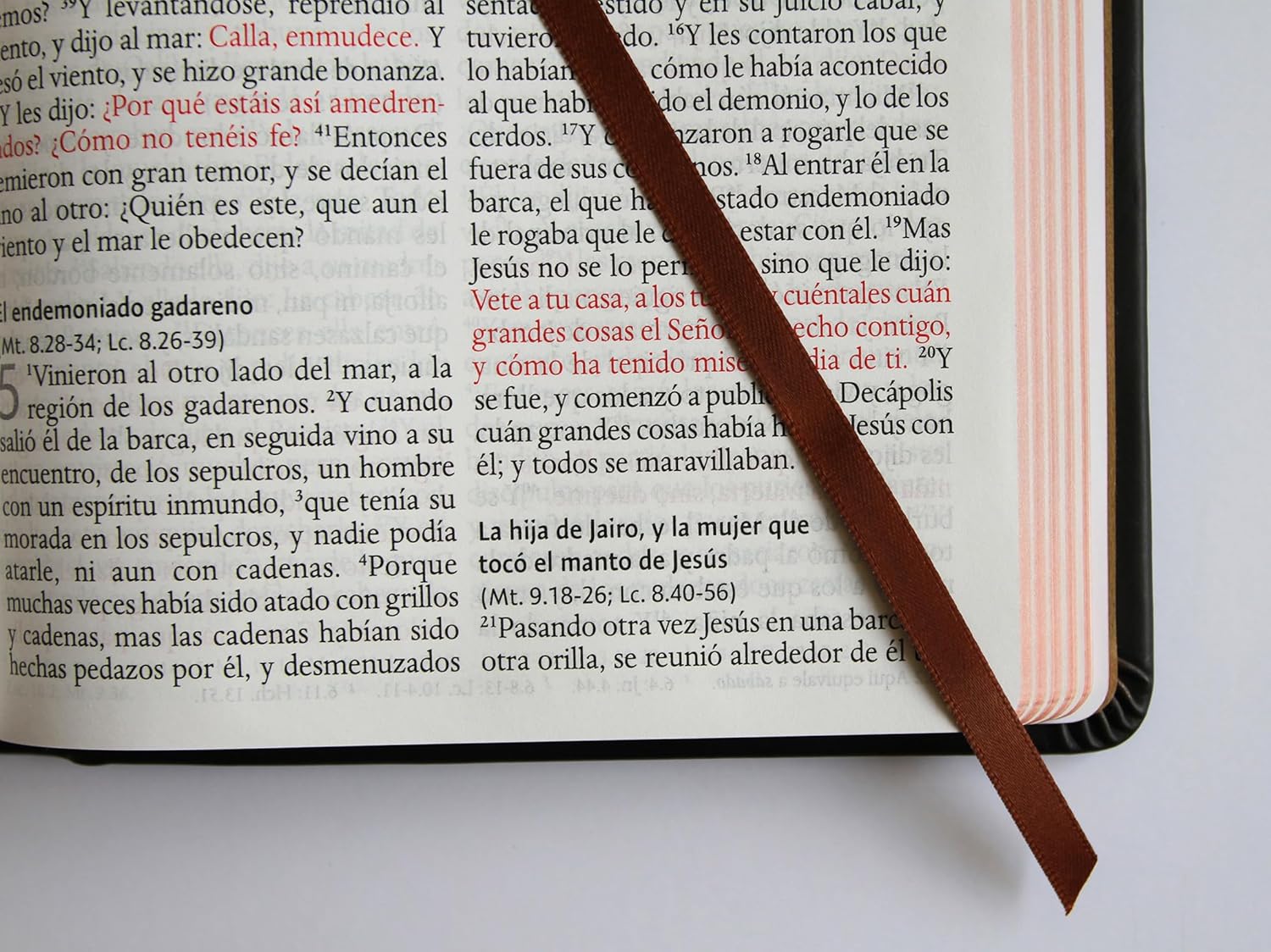 Biblia RVR1960 Leon de Juda ed esp bronce im piel manual 10.5pt - Image 7