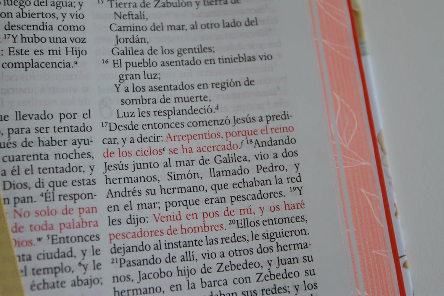 Biblia RVR1960 letra grande flores rosadas y cto pintado tapa dura manual 10.5pt - Image 5