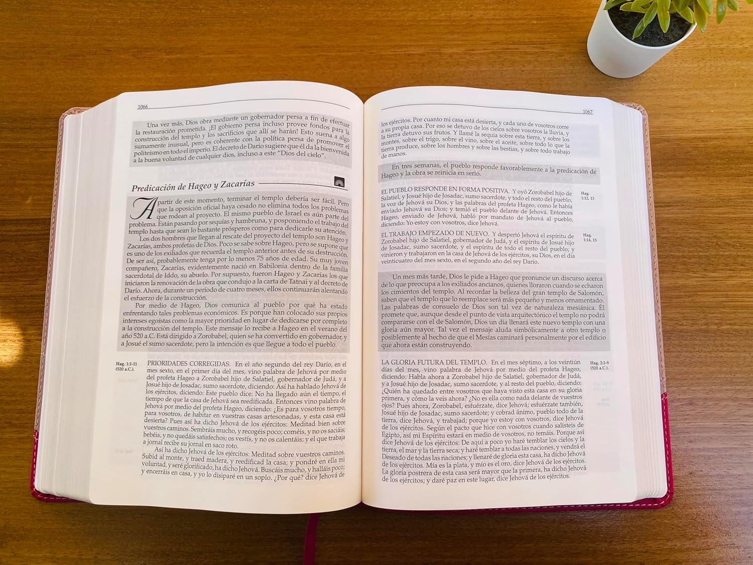 Biblia RVR1960 Orden cronológico rosa im piel - Image 4