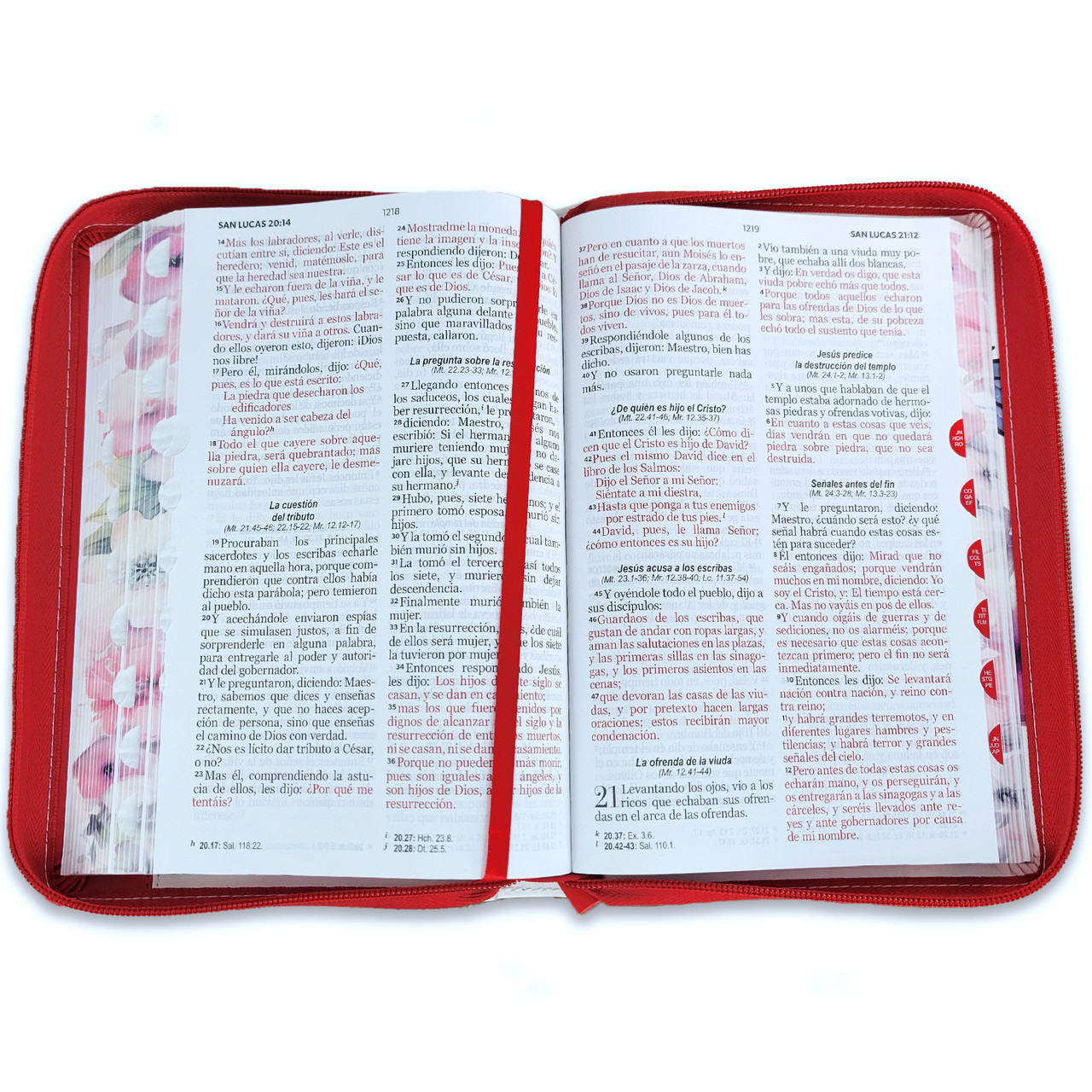 Biblia RVR1960 Pretty rosa cto pintado im piel cierre índice manual 12.5pt - Image 2