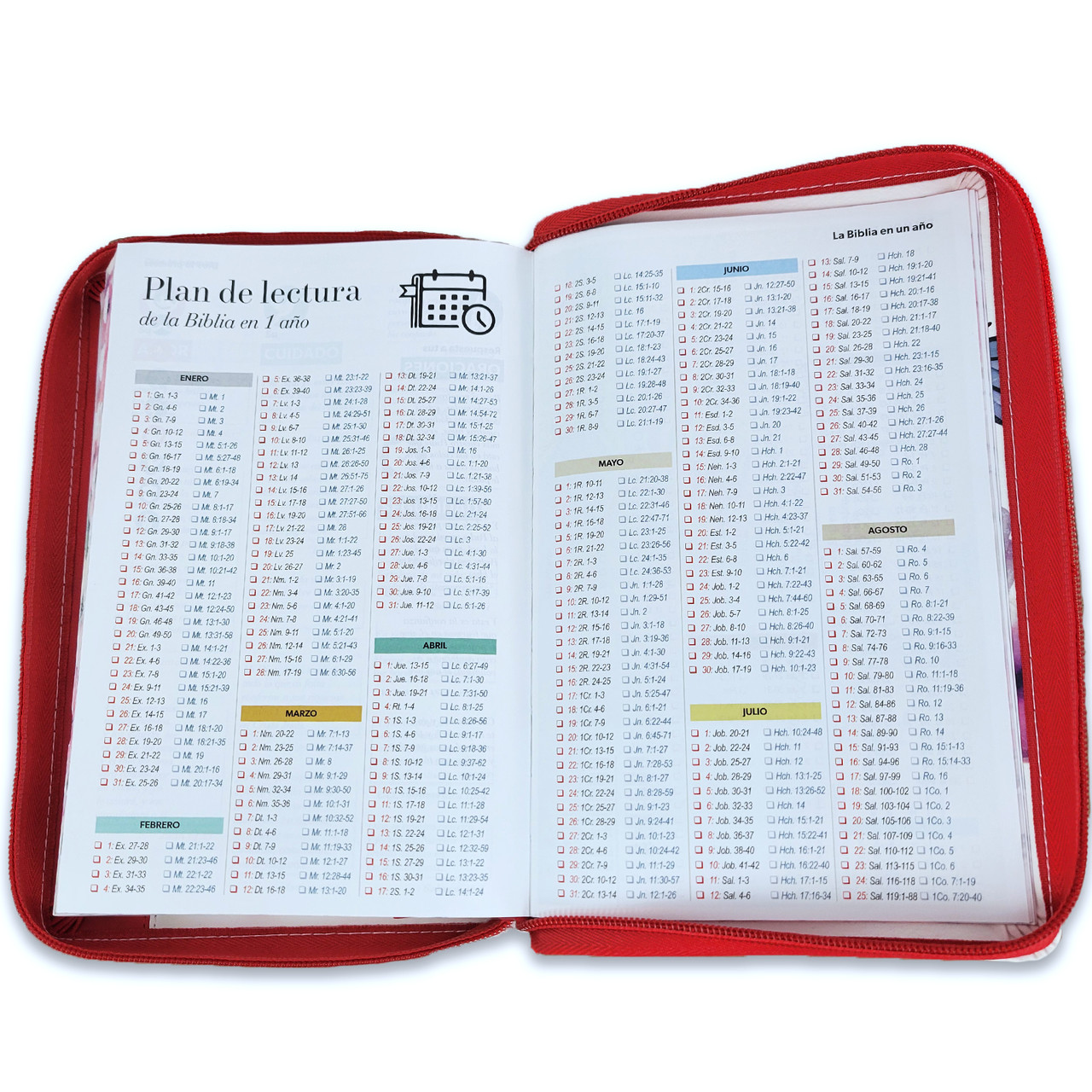 Biblia RVR1960 Pretty rosa cto pintado im piel cierre índice manual 12.5pt - Image 4