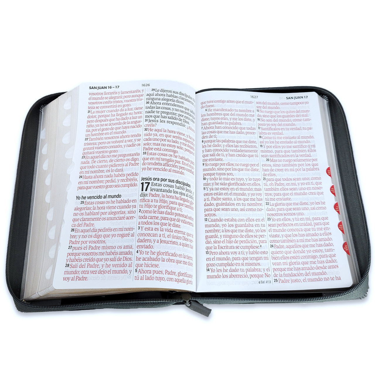 Biblia RVR1960 Agora sup gig insp leon neg/gris im piel cierre índice grande 19pt