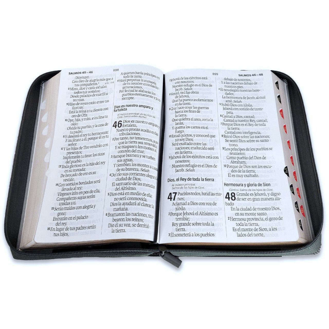 Biblia RVR1960 Agora sup gig insp leon neg/gris im piel cierre índice grande 19pt