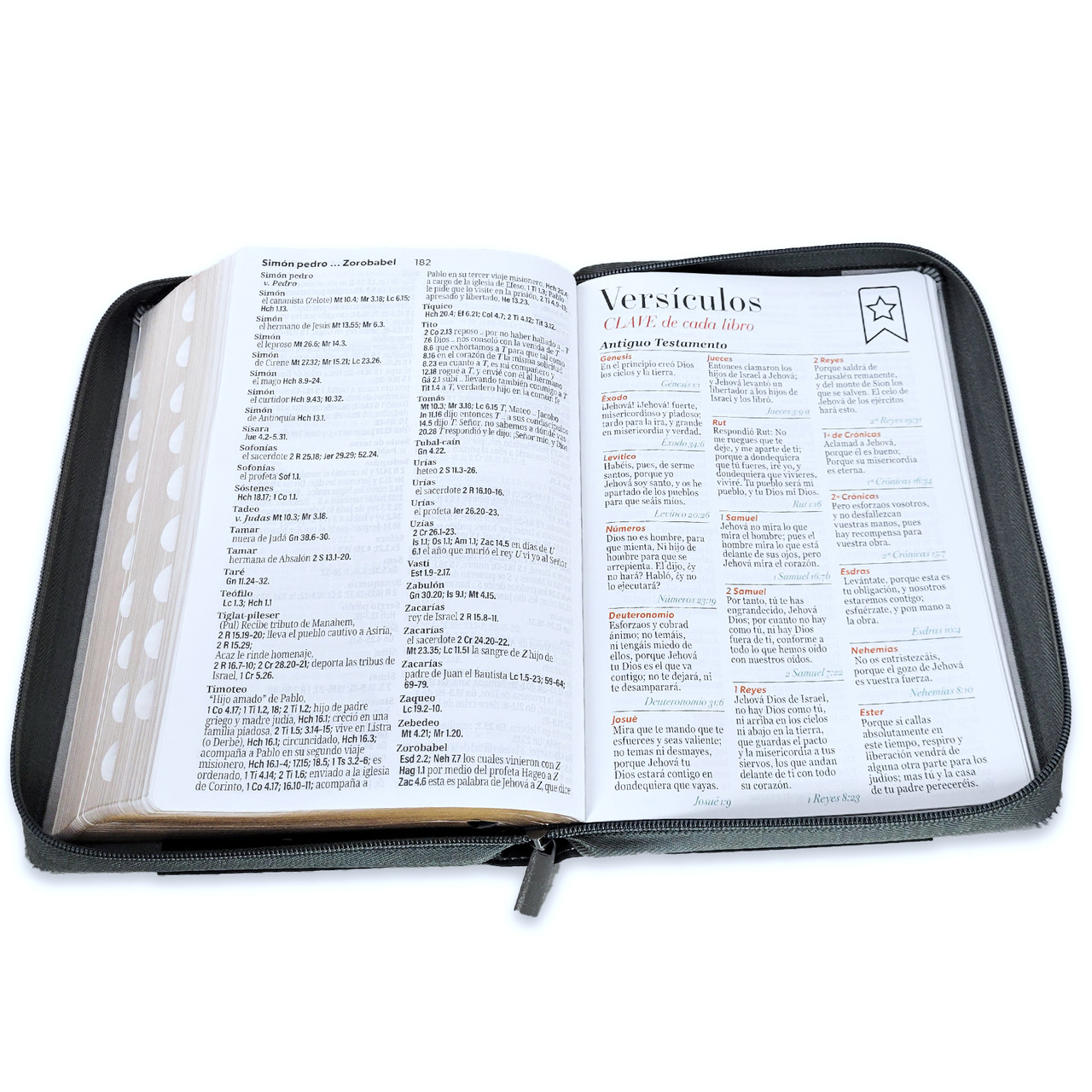 Biblia RVR1960 Agora sup gig insp leon neg/gris im piel cierre índice grande 19pt