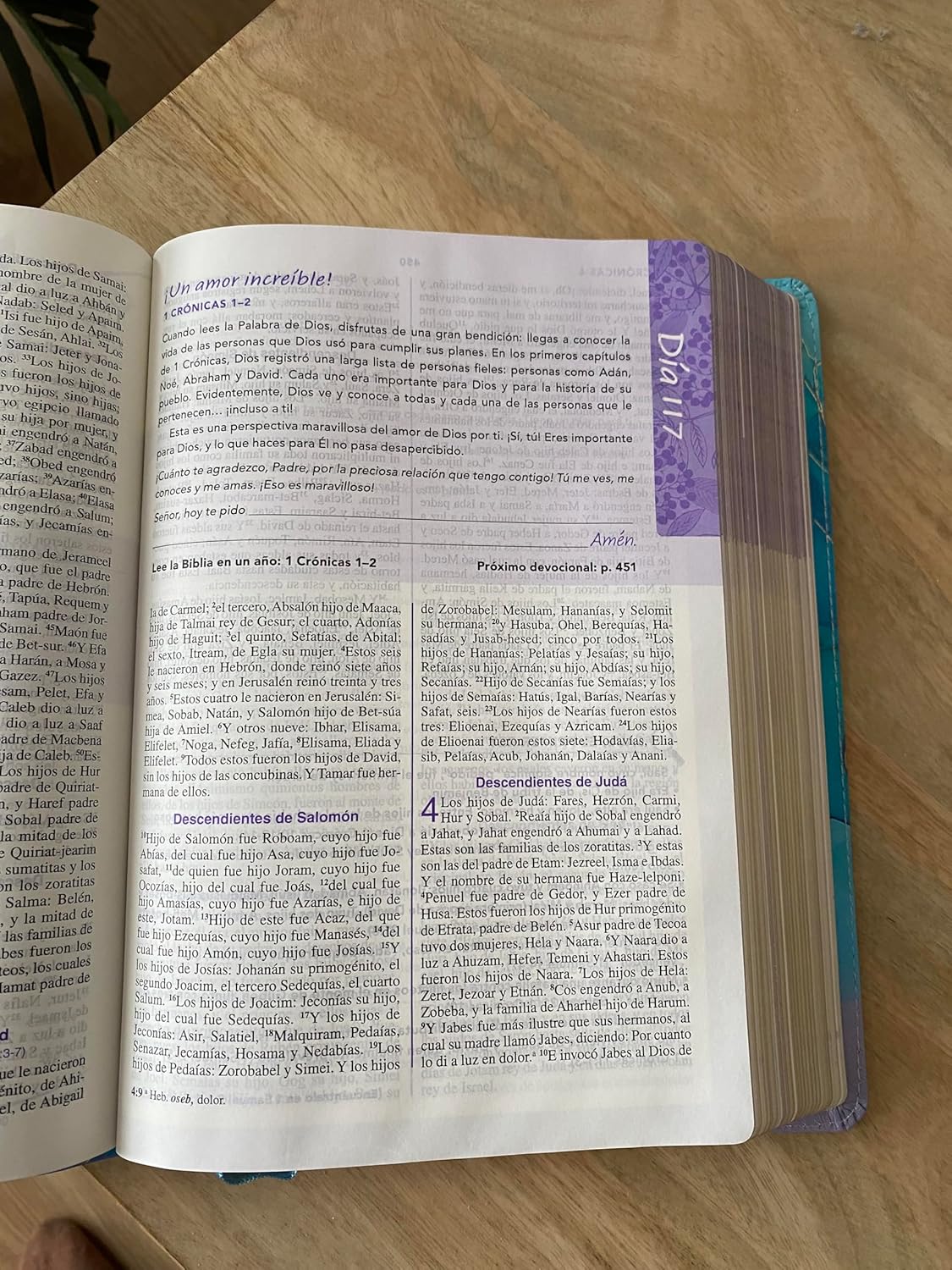 Biblia RVR1960 de una joven conforme al corazon de Dios edicion brisa