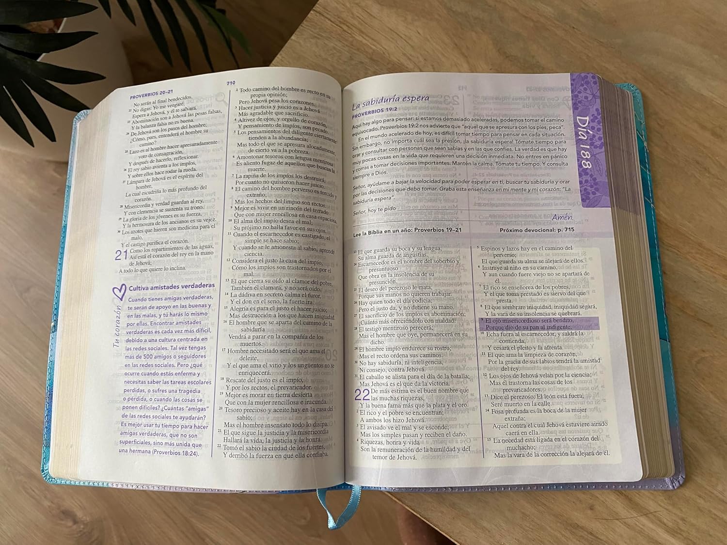 Biblia RVR1960 de una joven conforme al corazon de Dios edicion brisa