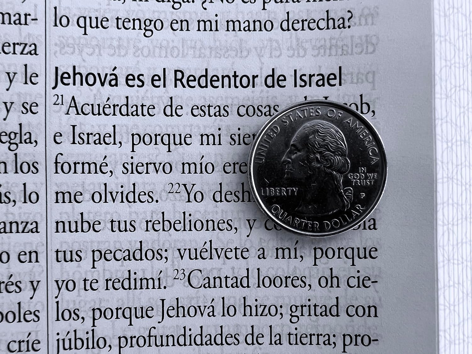 Biblia RVR1960 letra gigante gris cto pintado im piel manual 14pt