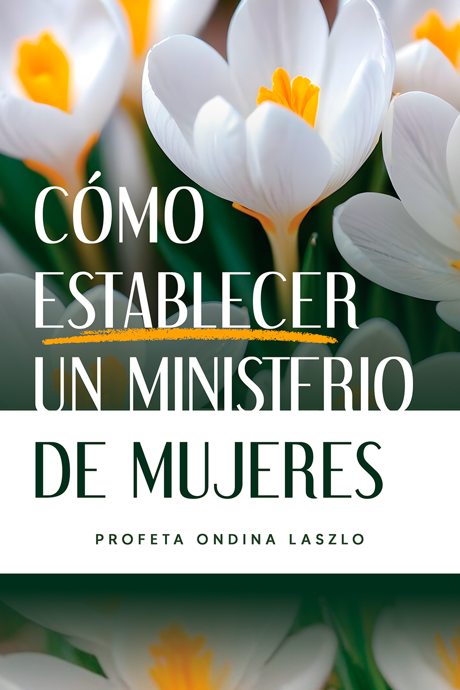 Como Establecer un Ministerio de Mujeres - Manual