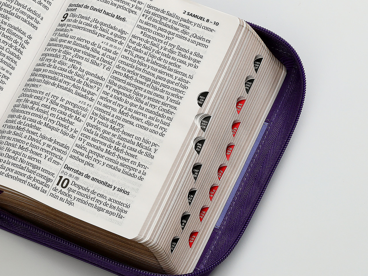 Biblia RVR1960 iconic bicoco lila/lila im piel índice cierre chica 12pt - Image 3