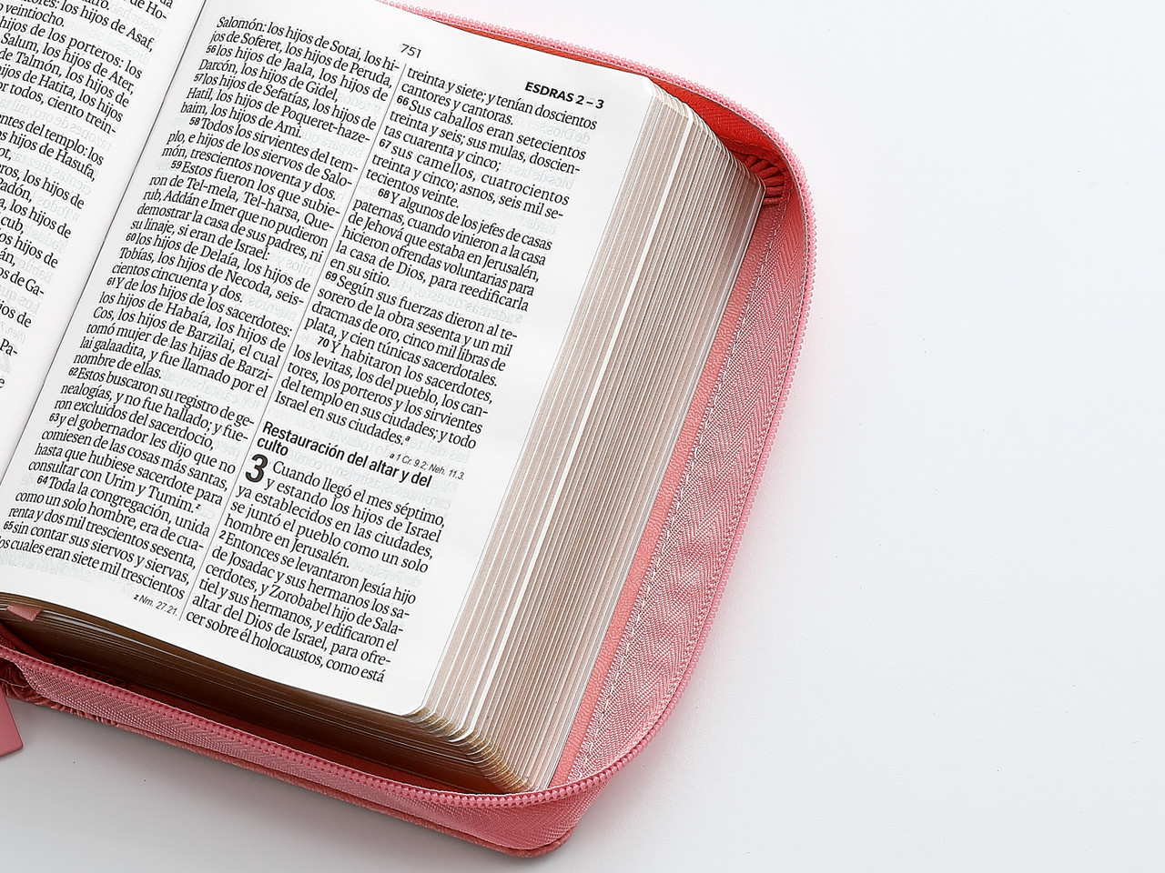 Biblia RVR1960 compacto rosa floral im piel cierre chica 12pt - Image 6