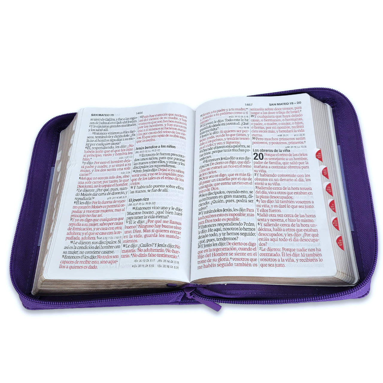 Biblia RVR1960 iconic bicoco lila/lila im piel índice cierre chica 12pt - Image 2