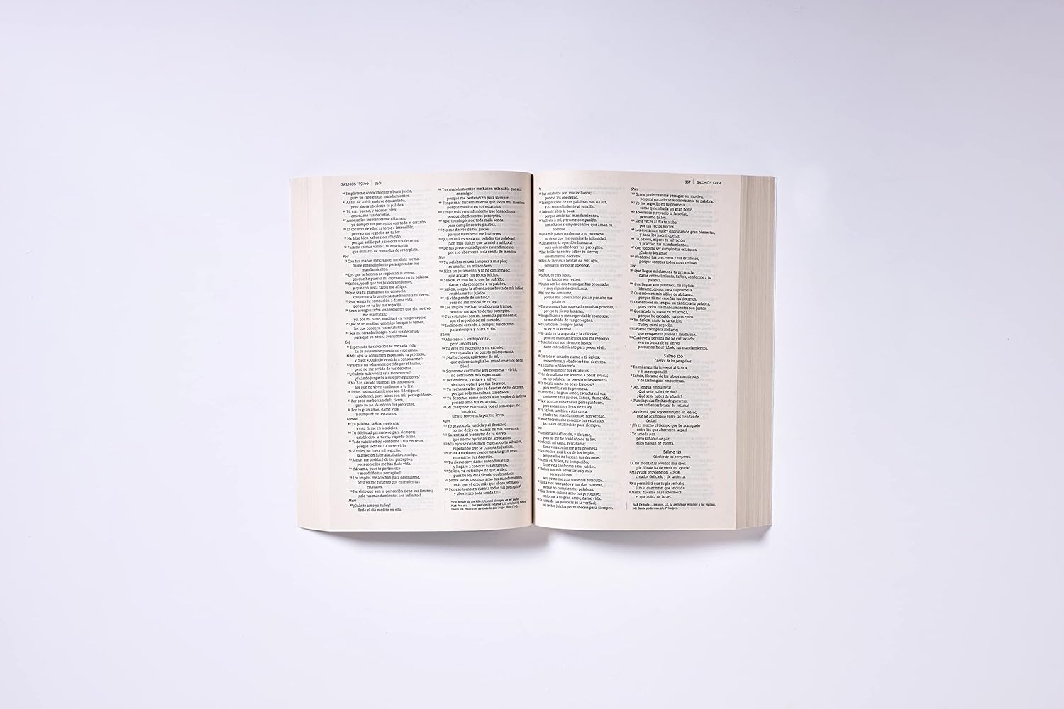 Biblia NVI edicion economica 2022 por pieza (28 a la vez) - Image 6