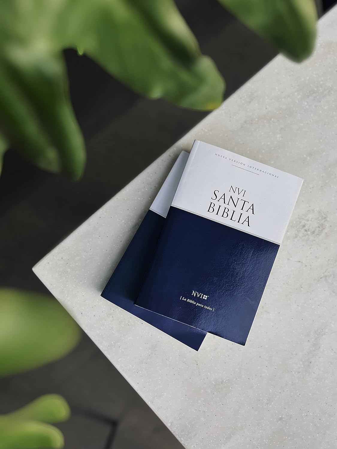 Biblia NVI edicion economica 2022 por pieza (28 a la vez) - Image 4