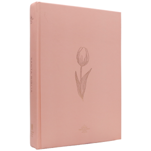 Biblia RVR1960 Minimalista rosado 12pt RVR063cLGPJR