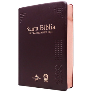 Biblia RVR1960 letra gigante vino manual vinil