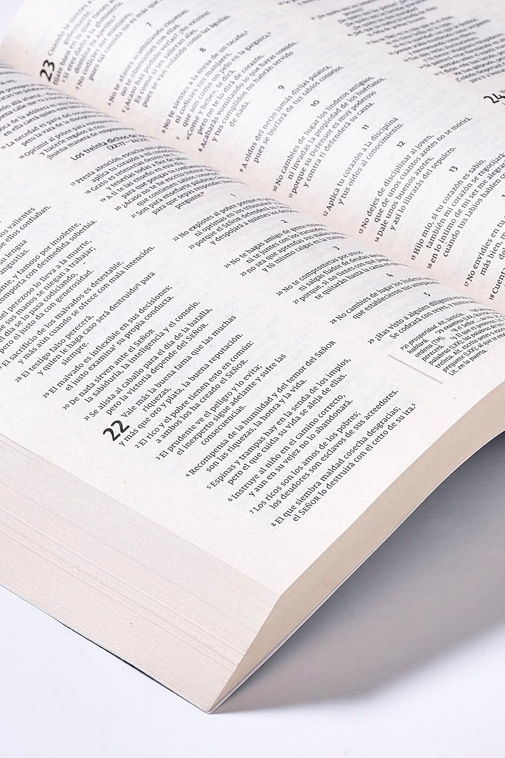 Biblia NVI edicion economica 2022 por pieza (28 a la vez) - Image 7