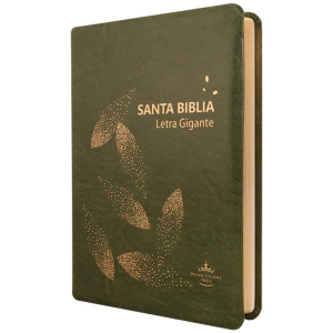Biblia RVR1960 grande l gte verde oscuro RVR085cLGIPJR AZ