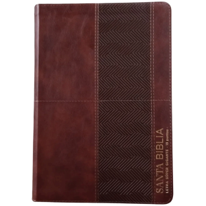 Biblia RVR1960 Efeso sup gig cafe GEO im piel TG 19pt