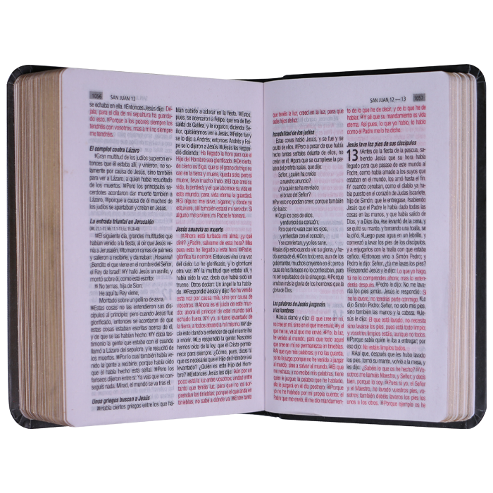 Biblia RVR1960 mini bolsillo semiflexible leon azul 7pt RVR.11ePJR-GPR:16 - Image 2