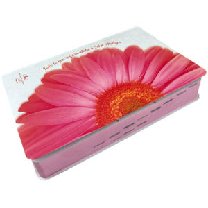 Biblia RVR1960 med l gde semiflexible flor rosa 12pt RVR.61cLGPJR