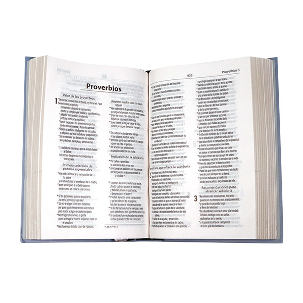 Biblia DHH Chica tapa dura gris pastor DHH043:AZ