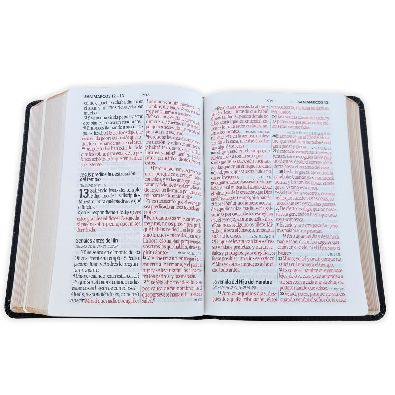 Biblia RVR1960 Bicolor cafe/cafe im piel concordancia manual 12pt