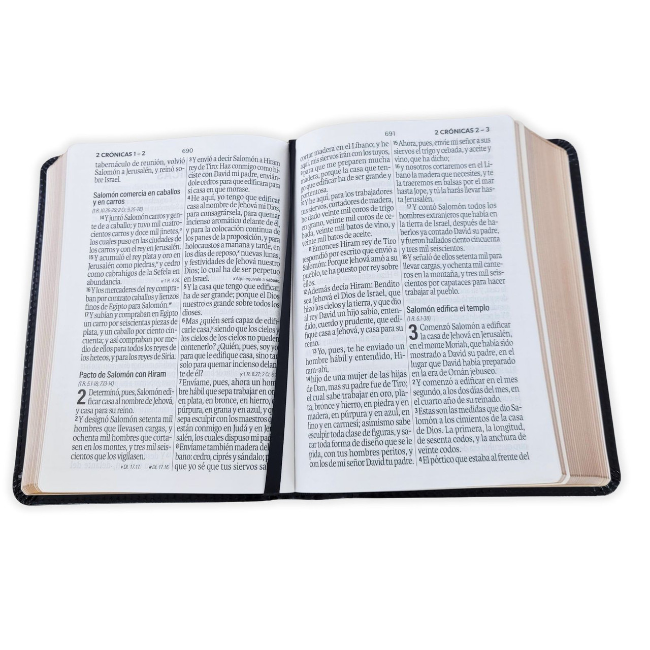 Biblia RVR1960 Bicolor cafe/cafe im piel concordancia manual 12pt