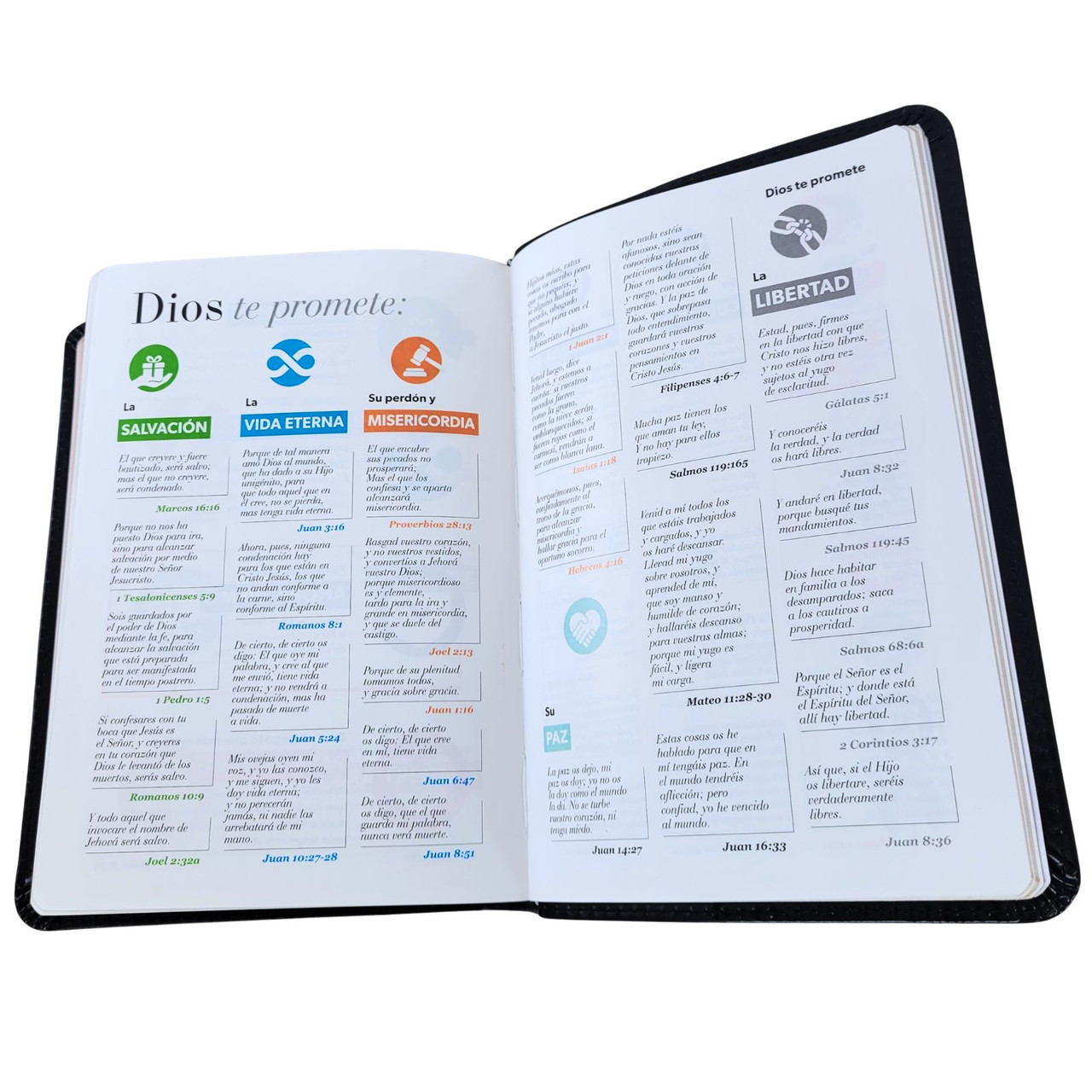 Biblia RVR1960 Bicolor cafe/cafe im piel concordancia manual 12pt