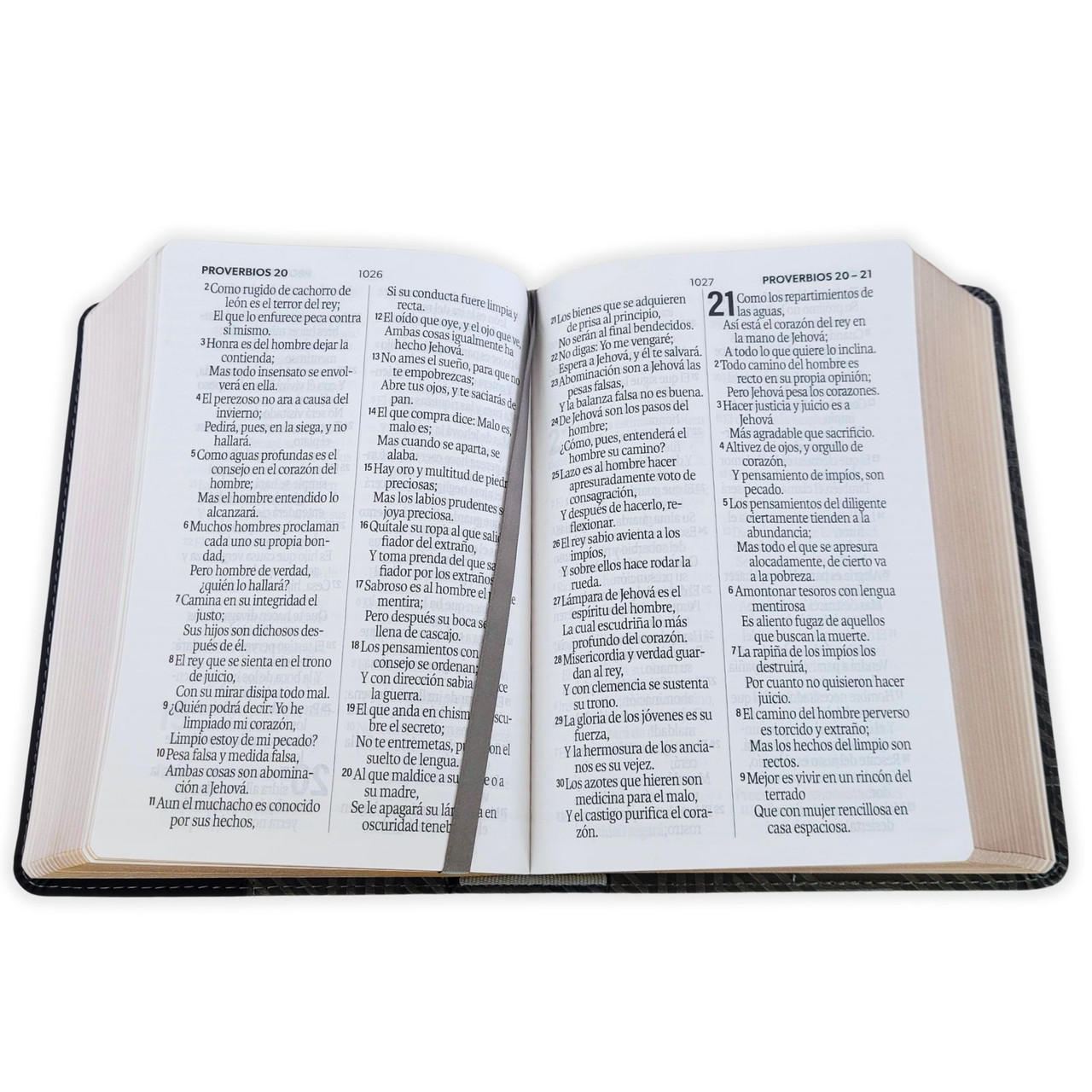 Biblia RVR1960 Bicolor negro/gris im piel concordancia manual 12pt
