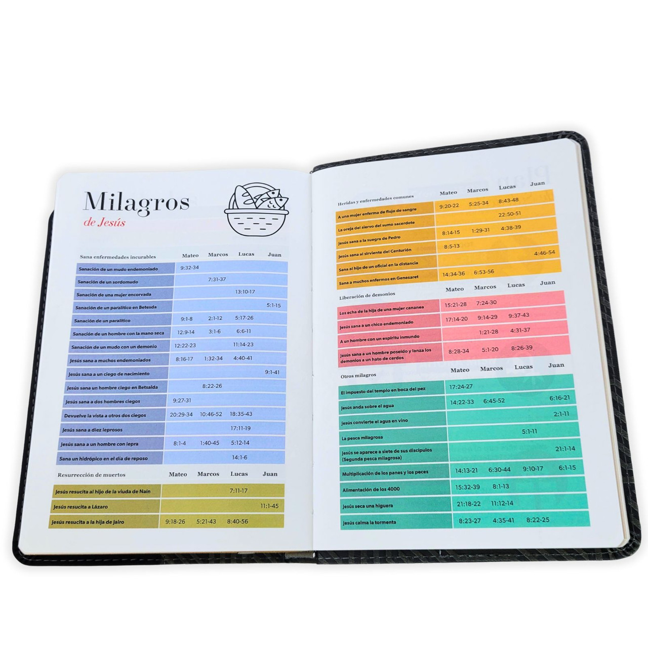 Biblia RVR1960 Bicolor negro/gris im piel concordancia manual 12pt
