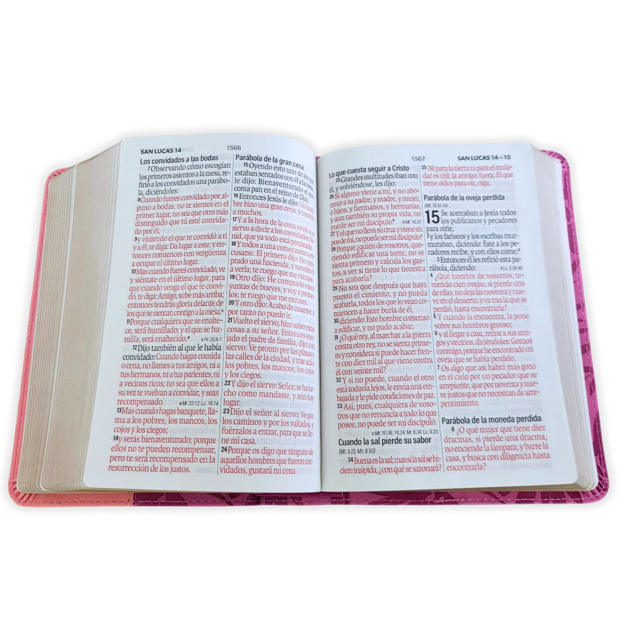 Biblia RVR1960 Bicolor rosa/rosa im piel concordancia manual 12pt