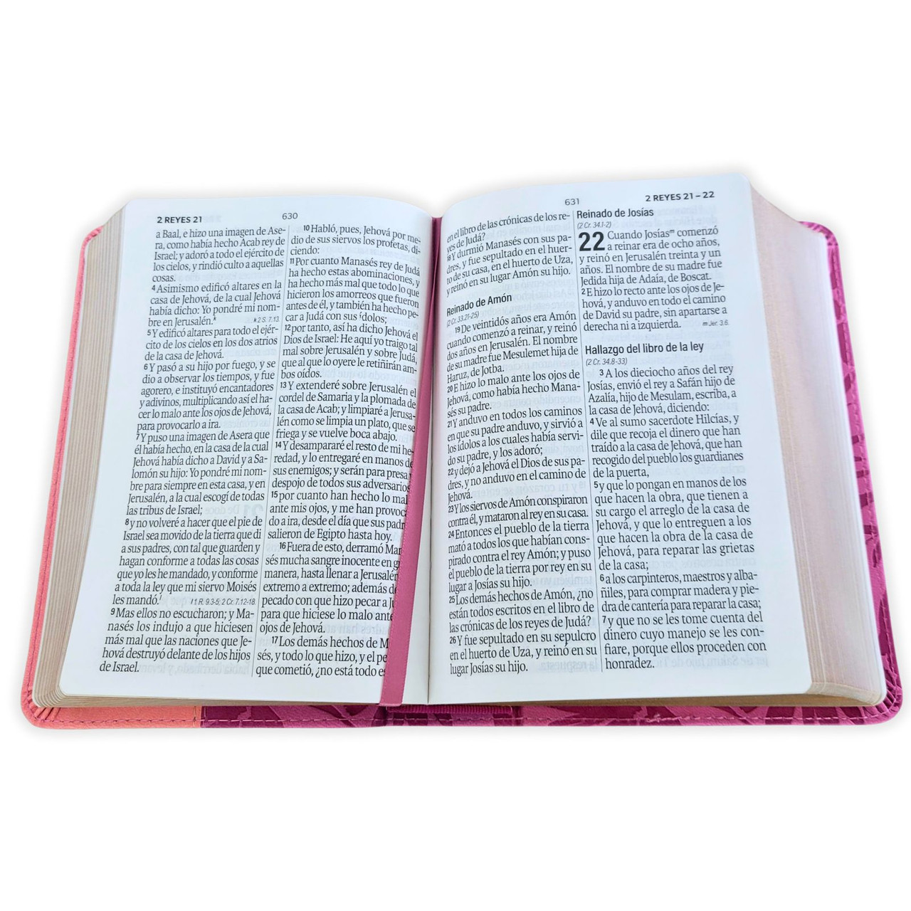 Biblia RVR1960 Bicolor rosa/rosa im piel concordancia manual 12pt