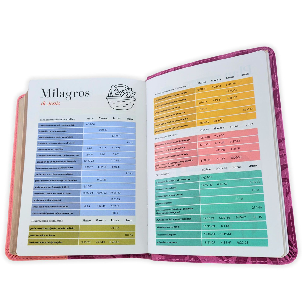 Biblia RVR1960 Bicolor rosa/rosa im piel concordancia manual 12pt