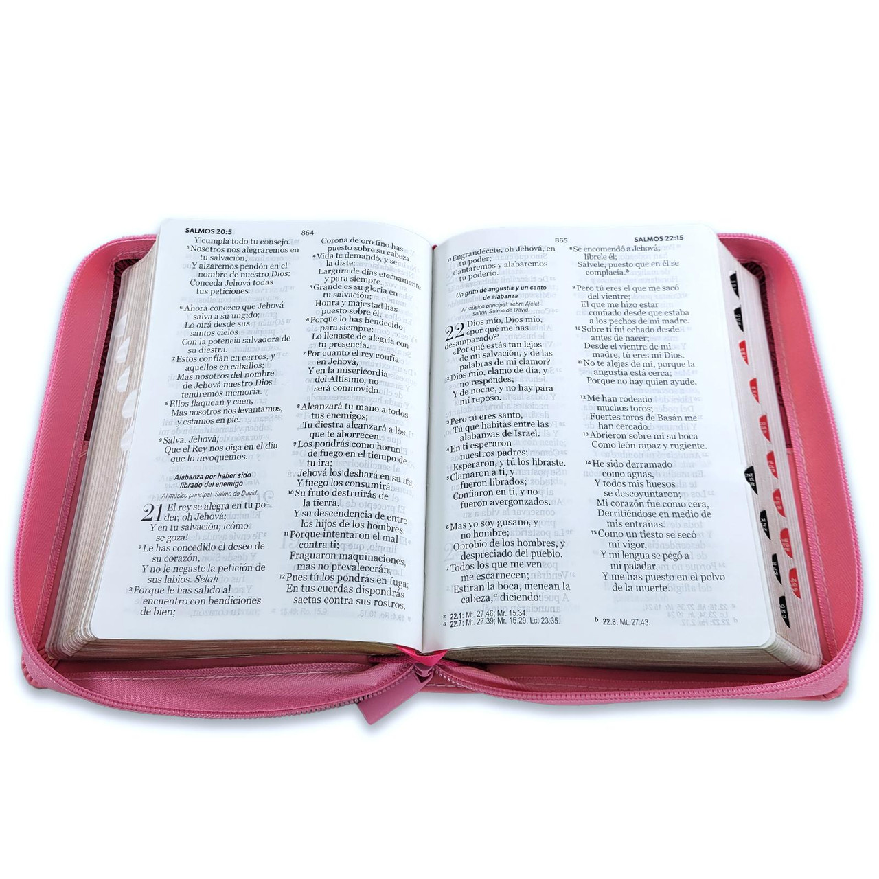 Biblia RVR1960 Bifloral rosa im piel cierre índice compacta 11pt