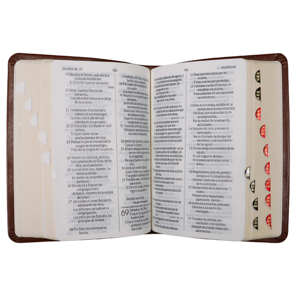 Biblia RVR1960 bolsillo café RVR025cTILG