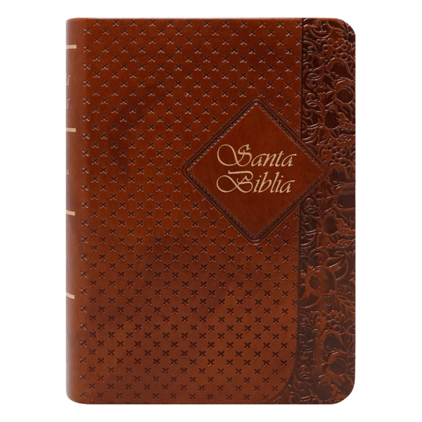 Biblia RVR1960 bolsillo café RVR025cTILG