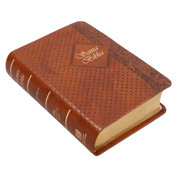 Biblia RVR1960 bolsillo café RVR025cTILG