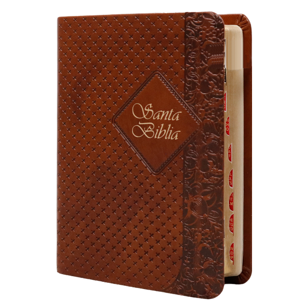 Biblia RVR1960 bolsillo café RVR025cTILG