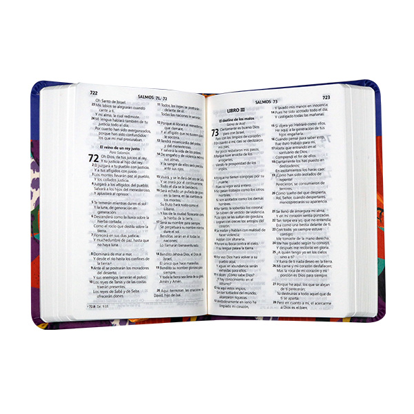 Biblia RVR1960 chica l gde colores RVR045cLG VR