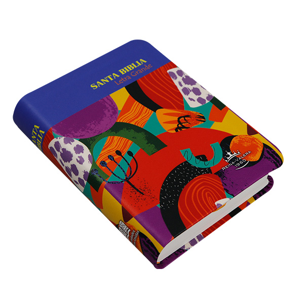 Biblia RVR1960 chica l gde colores RVR045cLG VR