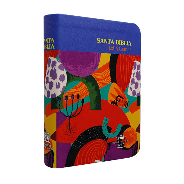 Biblia RVR1960 chica l gde colores RVR045cLG VR