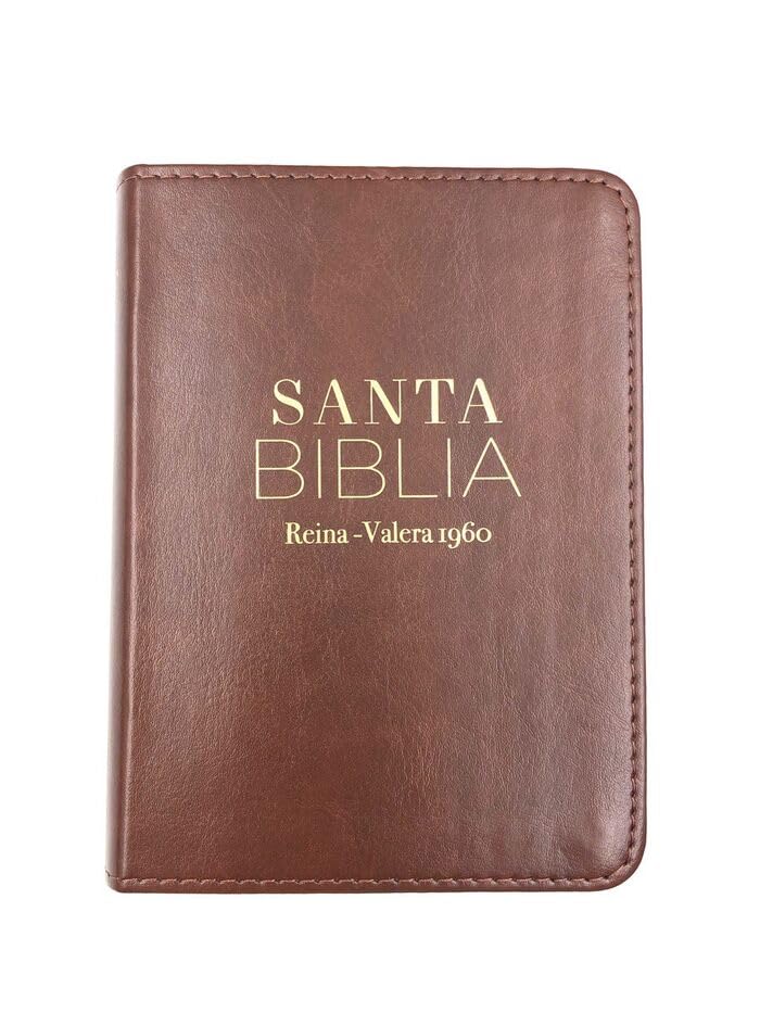 Biblia RVR1960 Clasica cafe im piel BL 8.5pt 025c PJR
