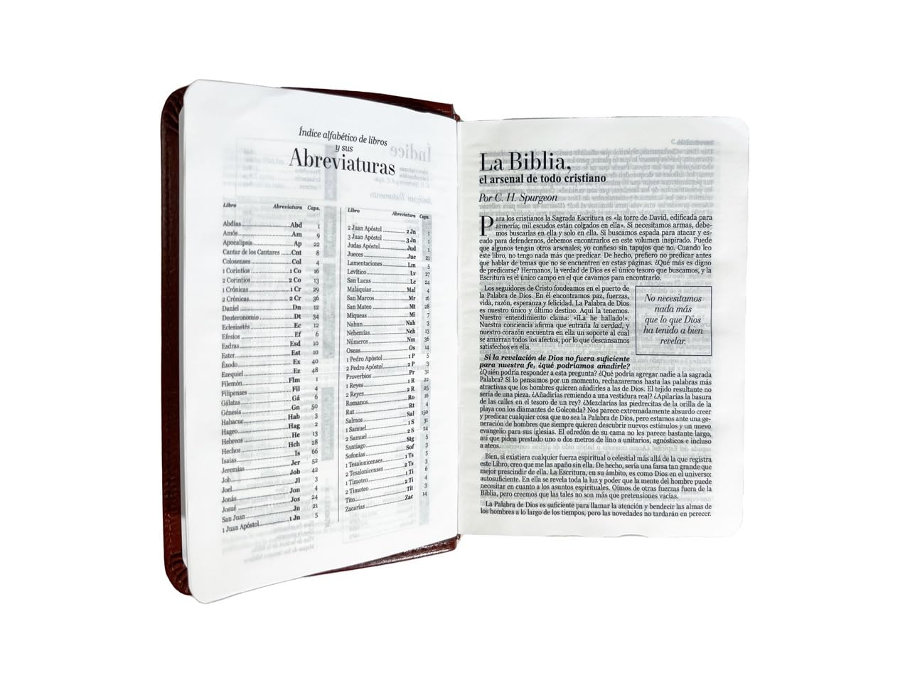Biblia RVR1960 Clasica cafe im piel BL 8.5pt 025c PJR