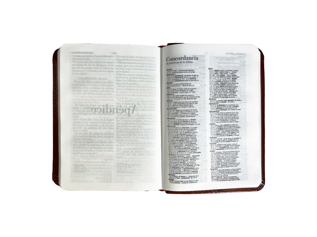 Biblia RVR1960 Clasica cafe im piel BL 8.5pt 025c PJR